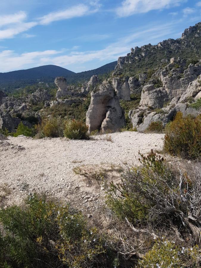 Val de Bruyères - Gîte 6 personnes 4étoiles Neffies Exterior foto