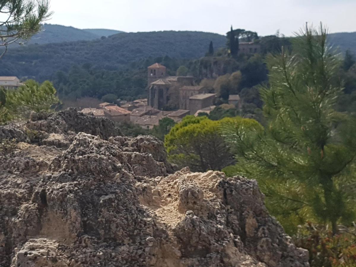Val de Bruyères - Gîte 6 personnes 4étoiles Neffies Exterior foto